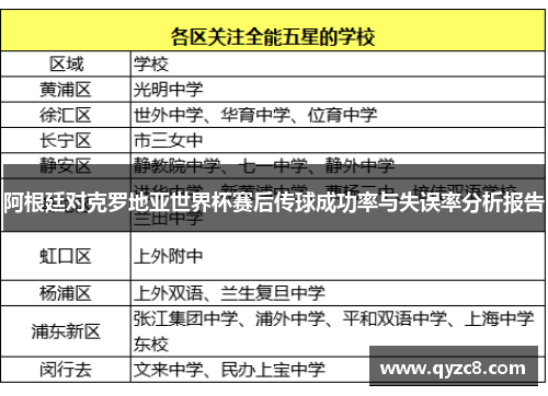 阿根廷对克罗地亚世界杯赛后传球成功率与失误率分析报告