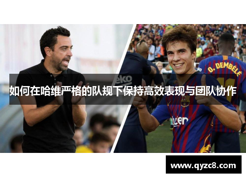 如何在哈维严格的队规下保持高效表现与团队协作