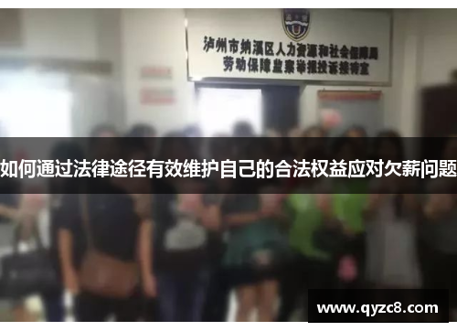 如何通过法律途径有效维护自己的合法权益应对欠薪问题