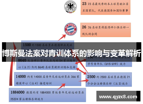 博斯曼法案对青训体系的影响与变革解析
